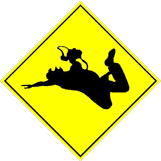 Australian BASE Association
